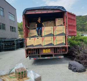 内蒙古案例展示二